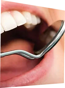 Dents saines & Prévention